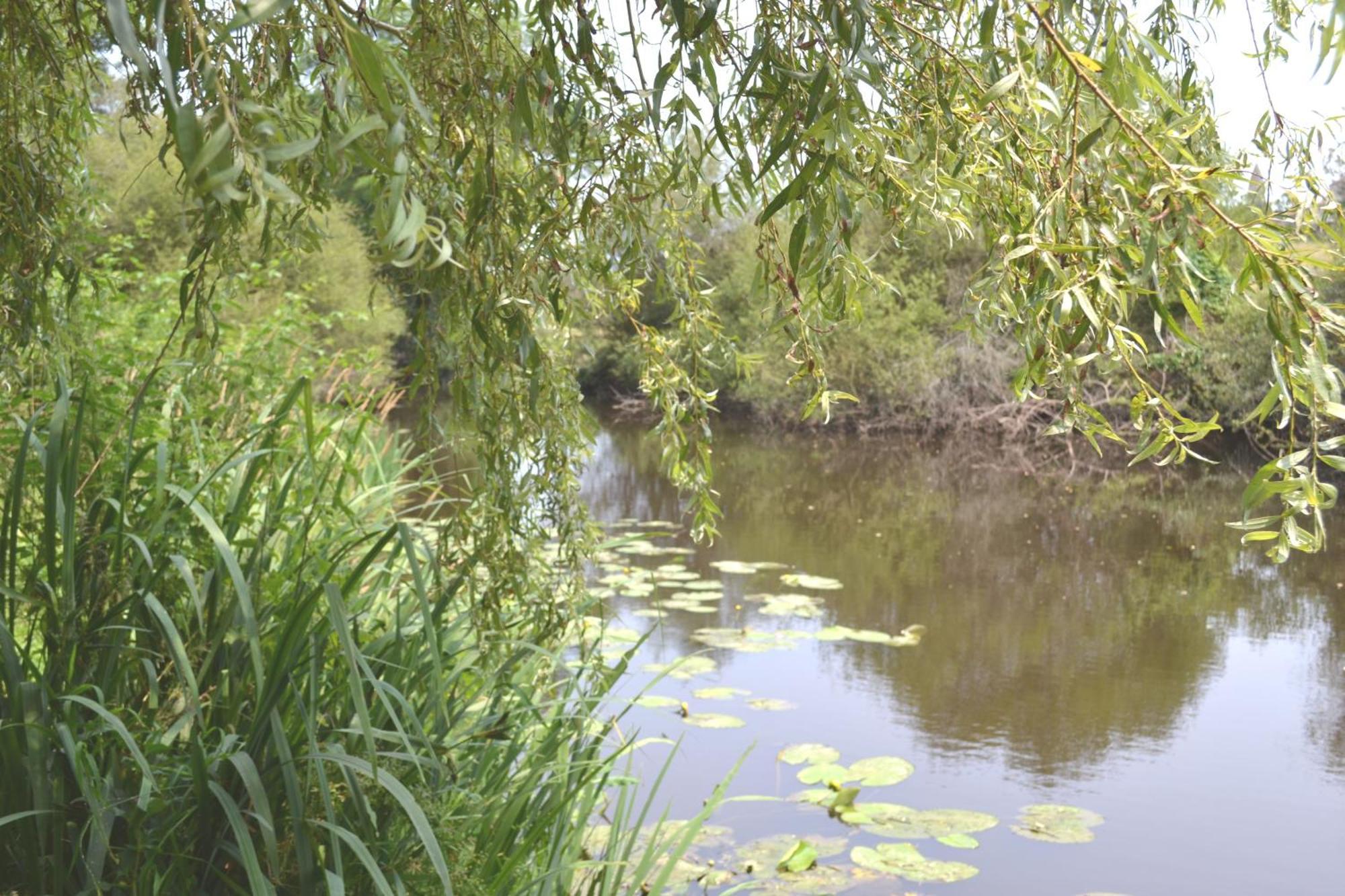 Les Bruyeres B&B Montbron 外观 照片